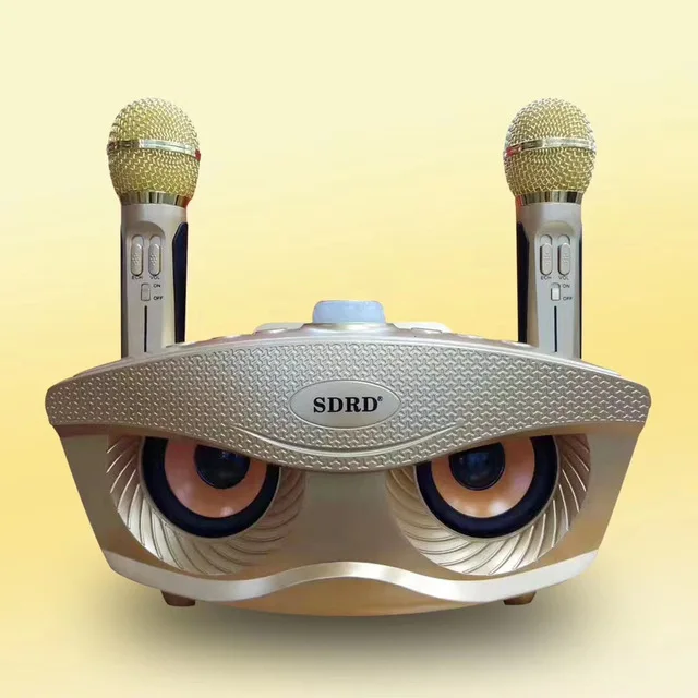 

Free shipping China factory supply newest Family KTV karaoke speaker BT wireless with double microphone 20Wat DSP speaker