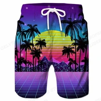 Men's Summer Sports Shorts Quick Drying Pants Sport Pants Gym Pant Workout Pant Gym Men Women Beach Short Pants 2