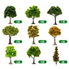 1Pcs Diy Simulation Wire Tree Model 10-15CM Tree Trunk Materials Train Railway Sand Table Scene Plants Layout Diorama Kit 1