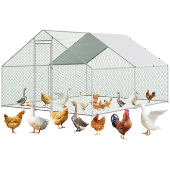 Large Walk-In Chicken Coop 1