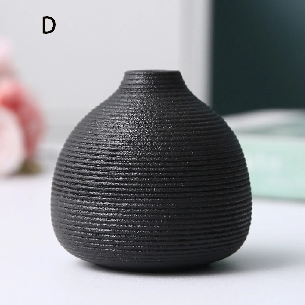 Elegant Ceramic Vases for Stylish Home Decor and Versatile Plant Display
