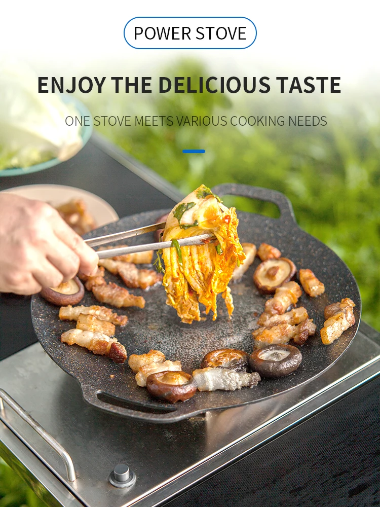 Wild Journey Folding Gas Barbecue Grill for Home Outdoor