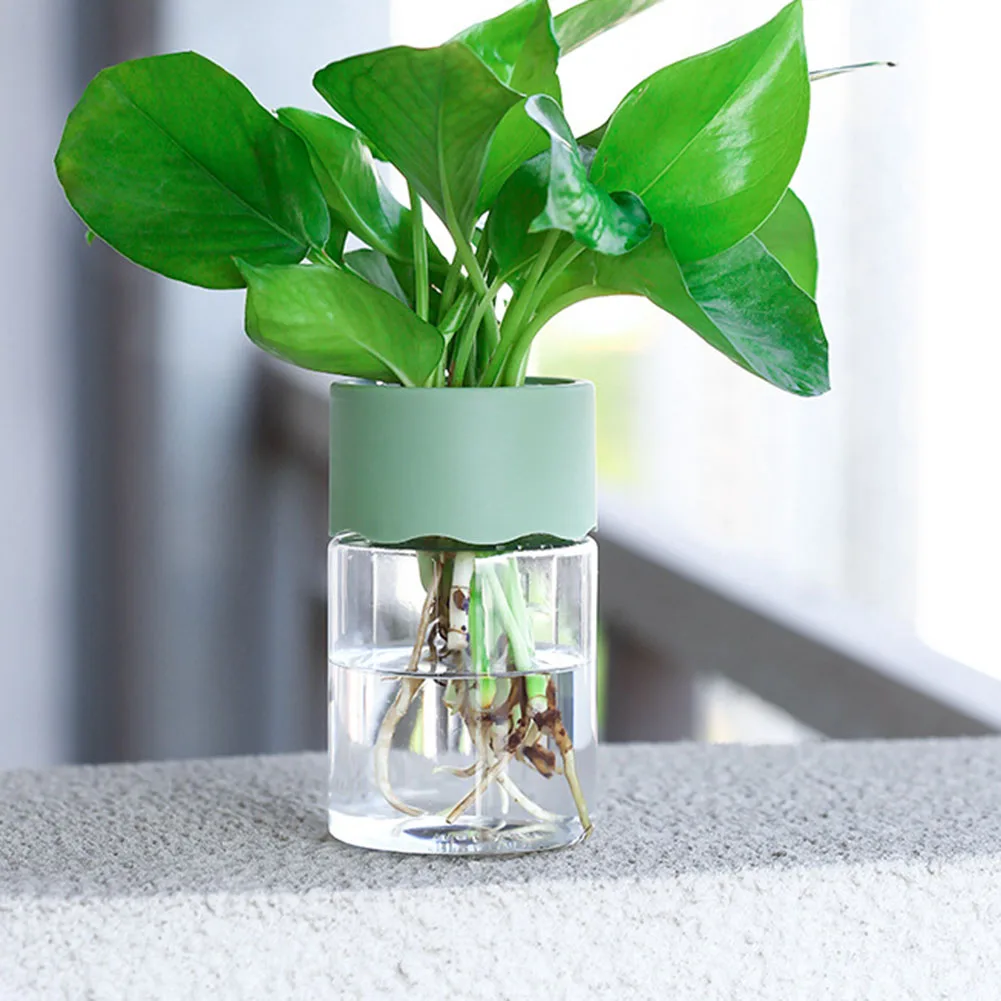 

Hydroponic Plant Container Water Planting Vase Weather Resistant Ideal For Home And Office PET Plastic Material Detachable Cover