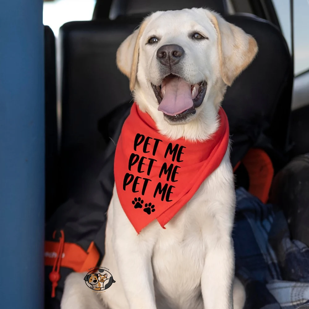 Personalized bandana - Image 3