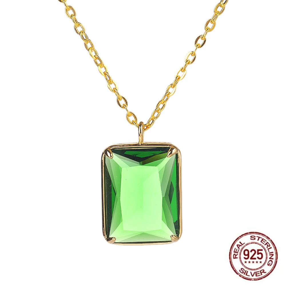 

Poulisa Single Rectangle Necklace S925 Sterling Silver Chain Pendant for Women Men 20*15MM Princess Cut Simple Chains Trendy