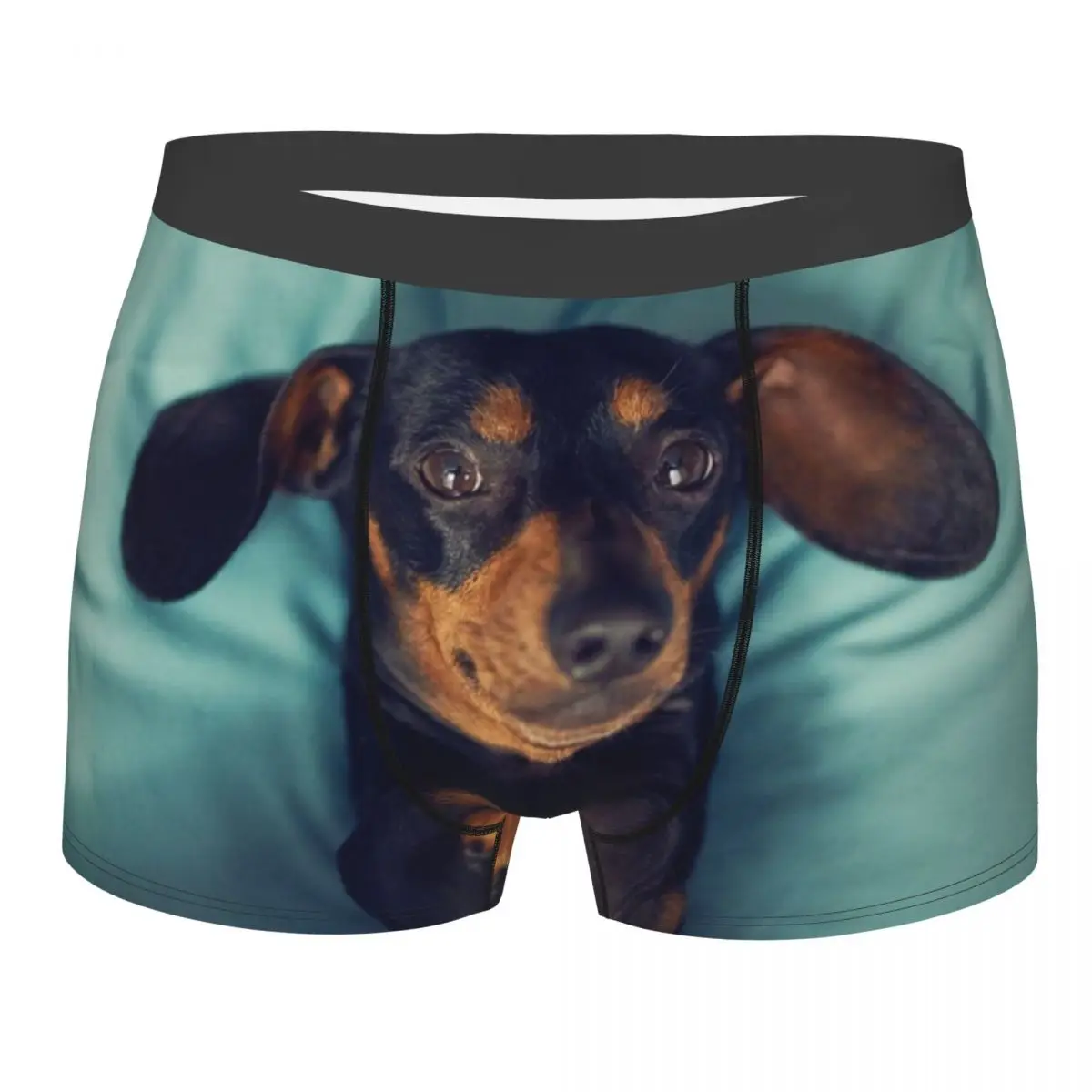 Custom Dachshund Underwear Men Breathbale Badger Sausage the Wiener Dog