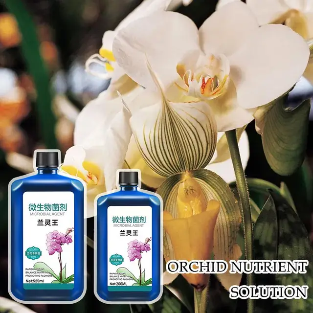 Növényi Tápanyagoldat Orchideák Növekedése Fokozó Kiegészítők Műtrágyák Virágzó Auxin Tápanyag -Folyadék Gyökereződés M8M4 - Image 6