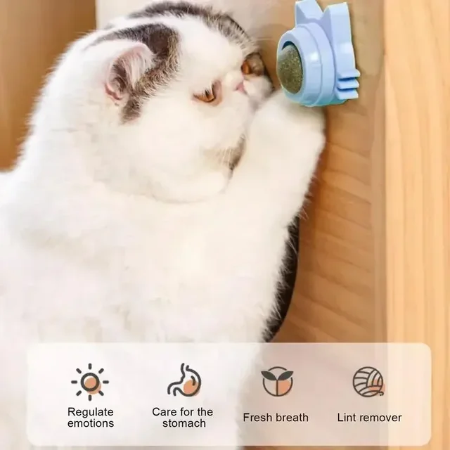 Lickable Catnip Balls for Cats 5