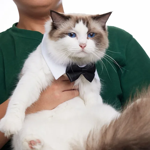 Adjustable Pets Dog Cat Bow Tie 4