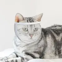 TONG New Cat Anti Bite Muzzles Breathable Transparent Cat Helmet Adjustable Kitten Mask for Nail Trimming Grooming 1
