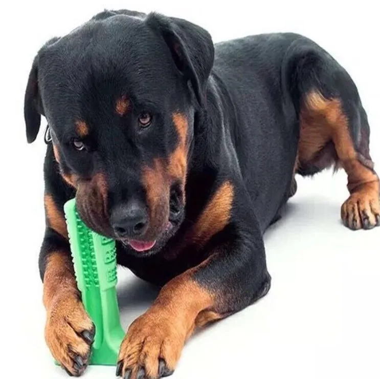 

Dog Toothbrush Biting Bracket Big size