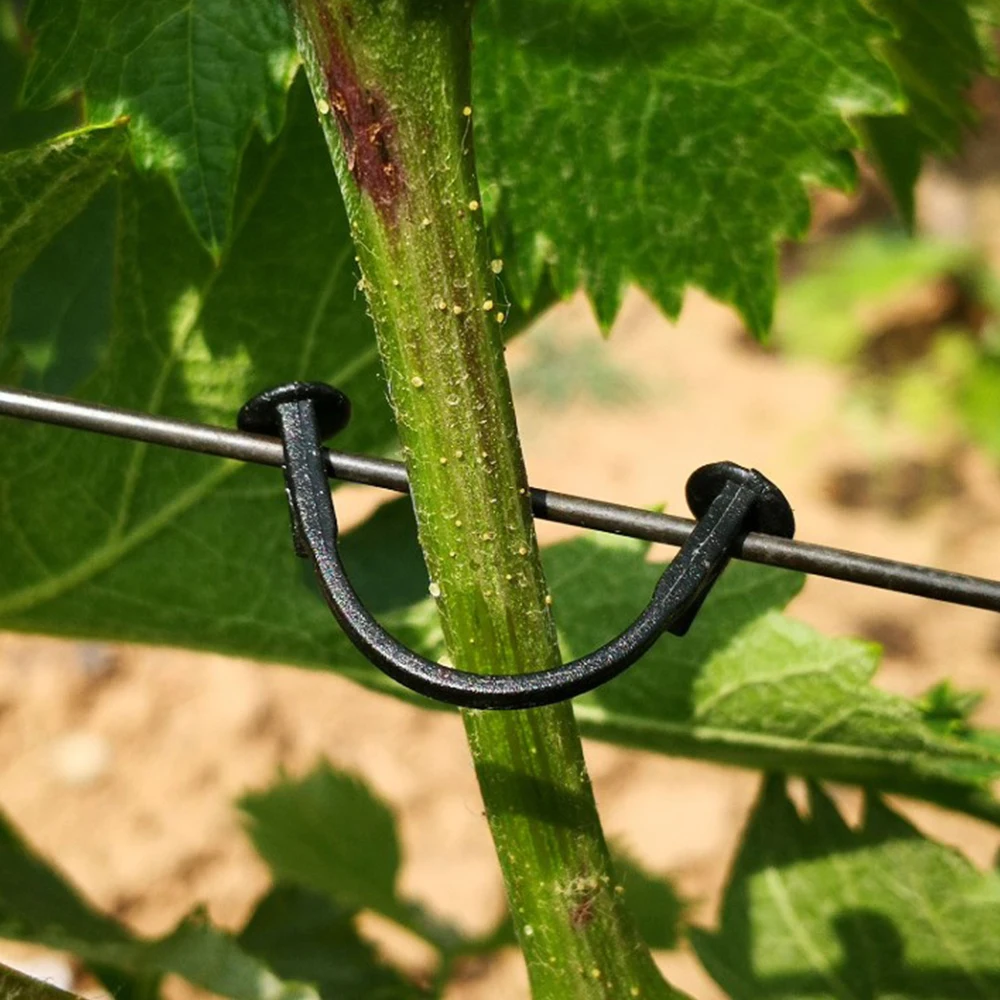 100PCS Plastic Plant Clips Plants Grafting Fixing Tool for Vegetable Fruit Grape Vine Climbing Support Garden Reusable Supplies