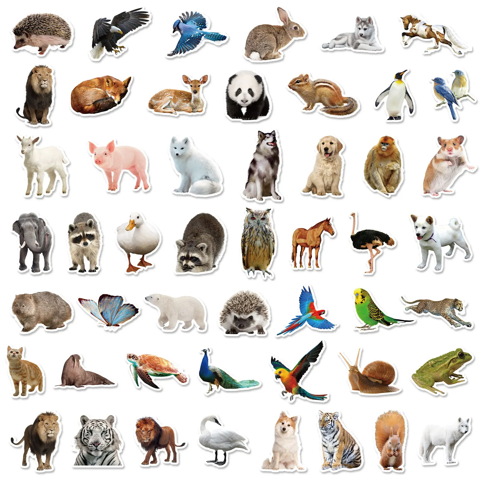 Sticker Pet Shop | Kawaii Stickers Shop | Sticker Animal Shop ...