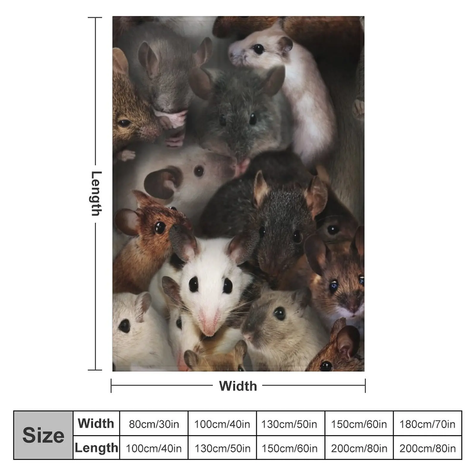 �� ������ ���, ��Ƽ�� ���, ħ�� ��ũ�� ���