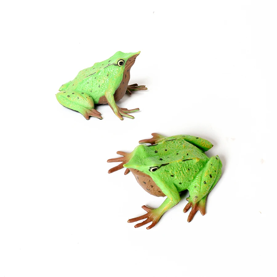 Rainforest Animal Figurines - Squishy Frog Action Toy for Kids