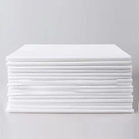 Disposable Bed Sheet Beauty Salon Spa Thin Waterproof Bed Sheet Non Woven Breathable Waterproof Travel Hotel Bed Sheet 2