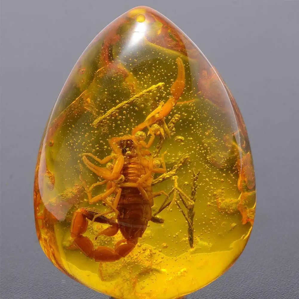 Insect Stone Natural Scorpions Inclusion Amber Baltic Stone DIY Home Decorative Wedding Pendant Party Necklace Gift V6P4