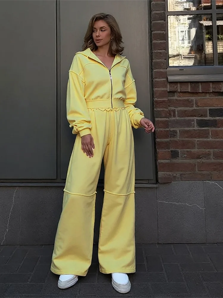 Nibber Casual Tracksuit Women 2 Piece Set Panelled Stripes Sporty Simple Hipster Hooded Zip Jacket+Wide Pants Matching Suits