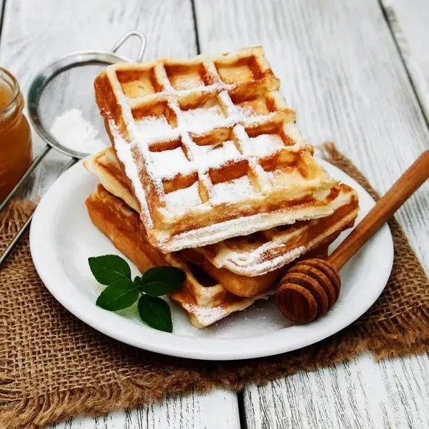 OEM/ODM Commercial Square Automatic Electric Sandwich Waffle And Sandwich Makers with Stainless Steel Housing