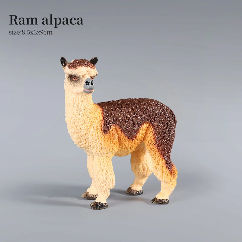 Animal-5