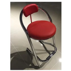 Versatile Ergonomic Chair for Gaming, Office, and Leisure Activities (Sitting height 65 cm)