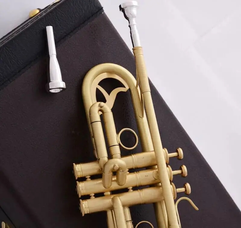 Professional Bb Trumpet Gold Professional Performance Black Protective Case