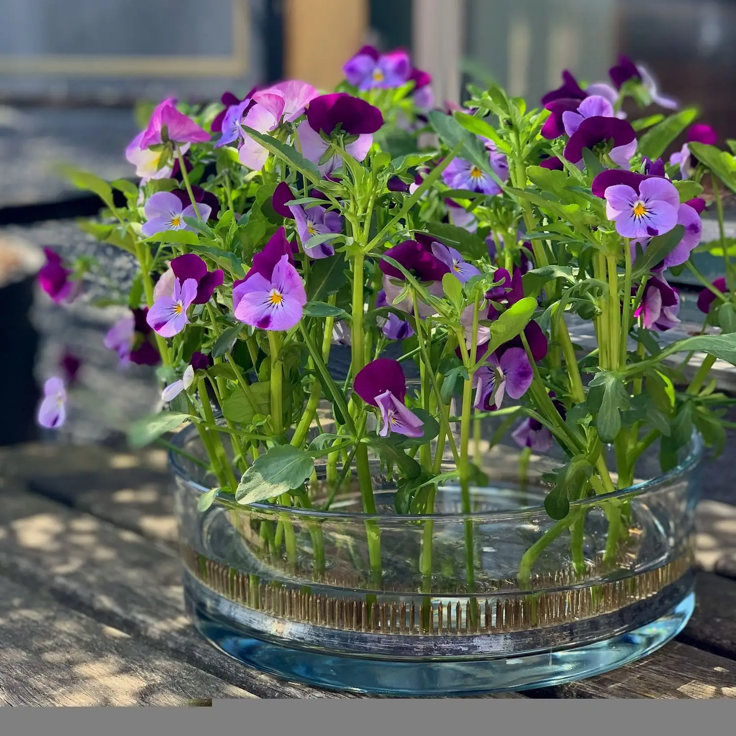 Japanese Flower Arrangement Base Ikebana Round Kenzan Ring