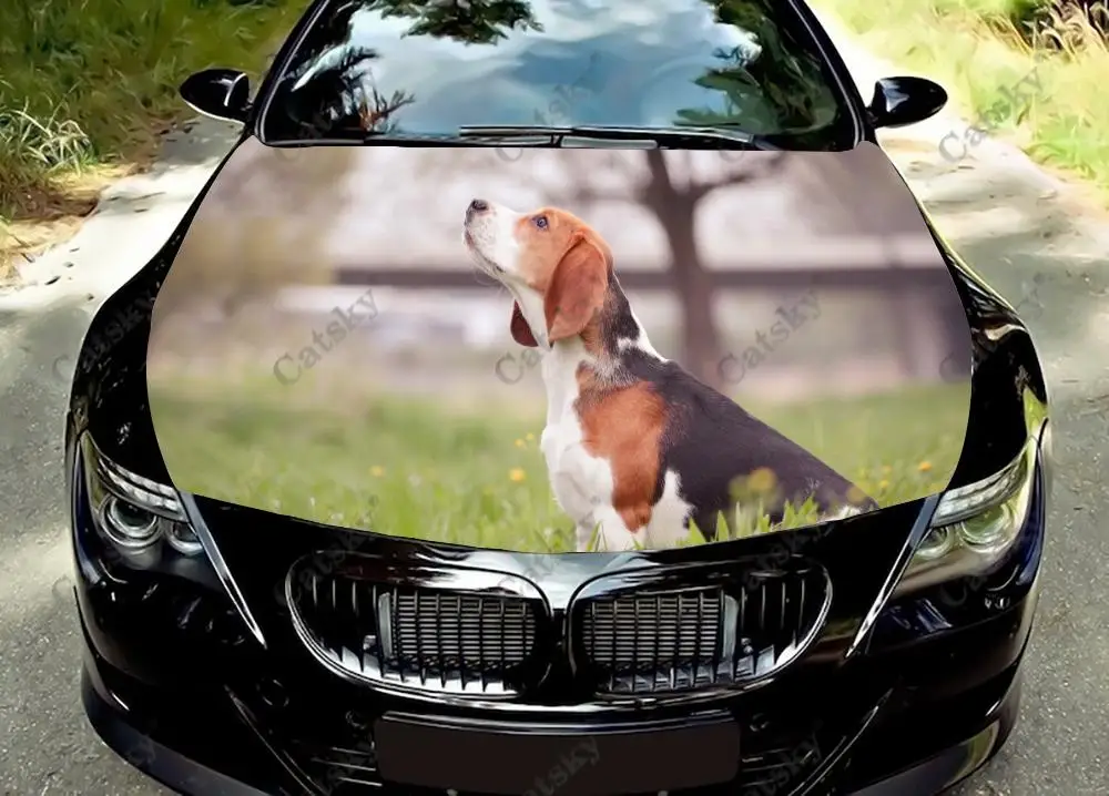

Beagle Sitting in Grass Car Hood Vinyl Stickers Wrap Vinyl Film Engine Cover Decals Sticker Universal Car Hood Protective Film
