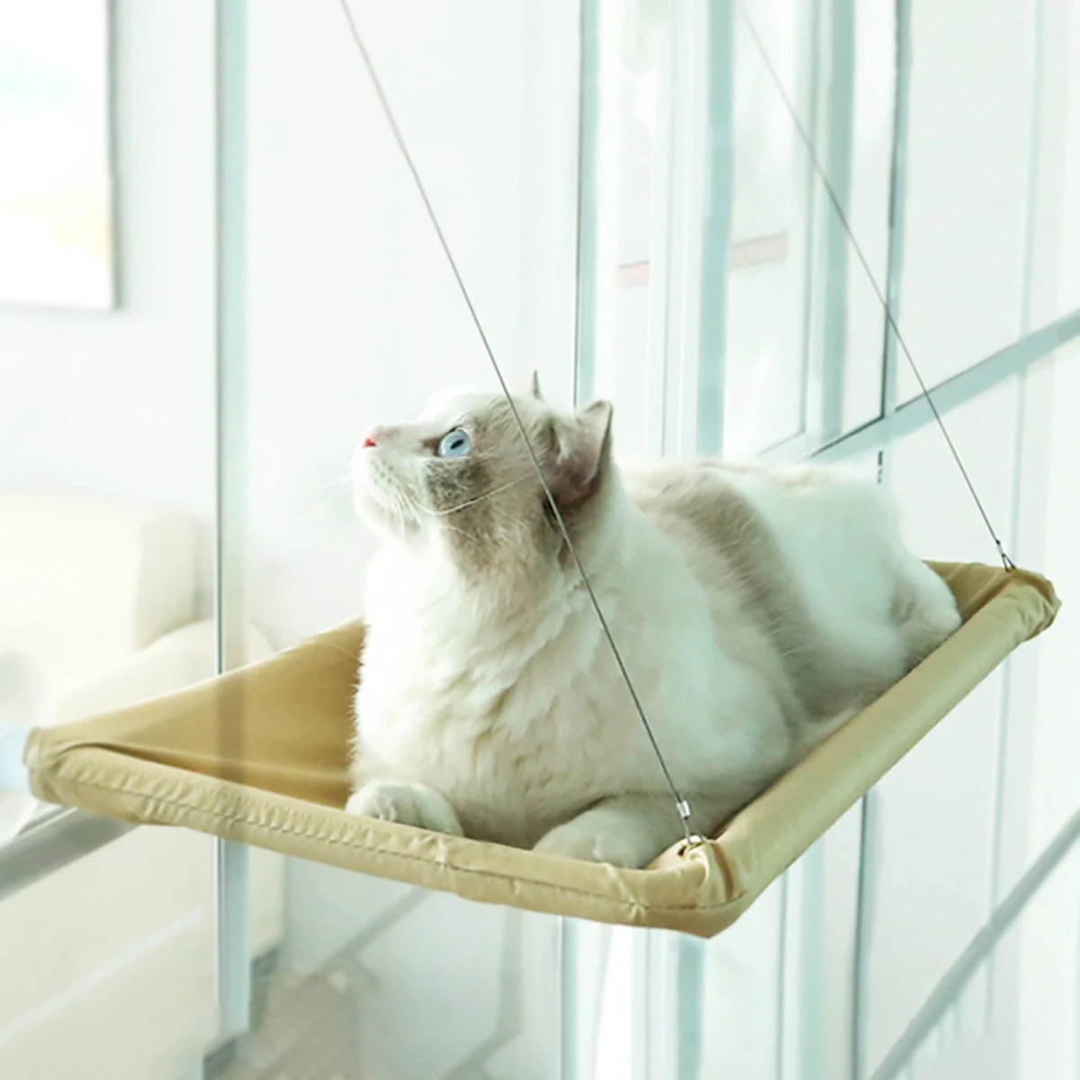 Cat Hammock Pet Cat Bed Sunny Window Seat Washable Detachable  Suction Shelf Bag Beds Seat For Cat Sleeping Pet Accessories 2
