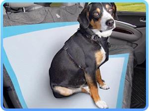 dog pee pad