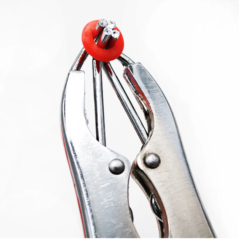Animal Castration Tools Animal Cutting Tools Goat Castrate Emasculate Pliers Tail Cut Pig Sheep livestock Expansion Castration Forceps 1Set