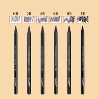 Wood Free Graphite Sketching Carbon Pencil Set for Art Students Drawing Charcoal Pencil Solid Wholesale 5
