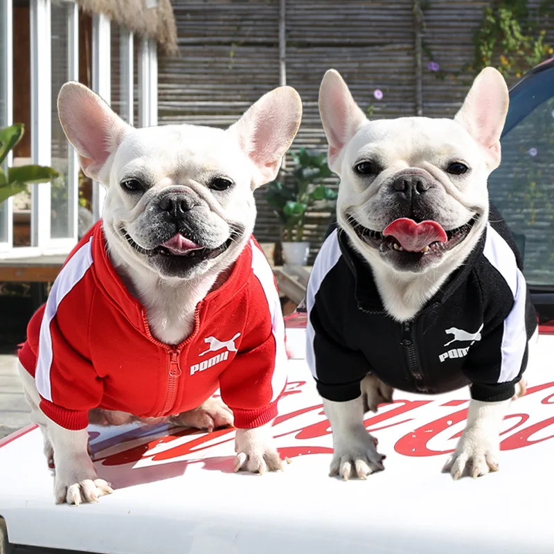 Abbigliamento invernale in felpa per cani di piccola taglia per cani di  taglia media, giacca per cani con cerniera in pile caldo, giacca per  Bulldog francese Chihuahua|Dog Coats \u0026 Jackets| - AliExpress