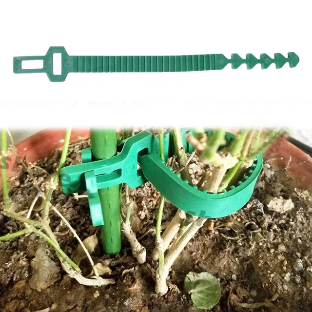 10 db Növénykötegek Fa Tét Tartó Sávok Állítható Cserjék Hevederek Reteszelő Nyakkendők Növényi Szőlő Paradicsom Klip