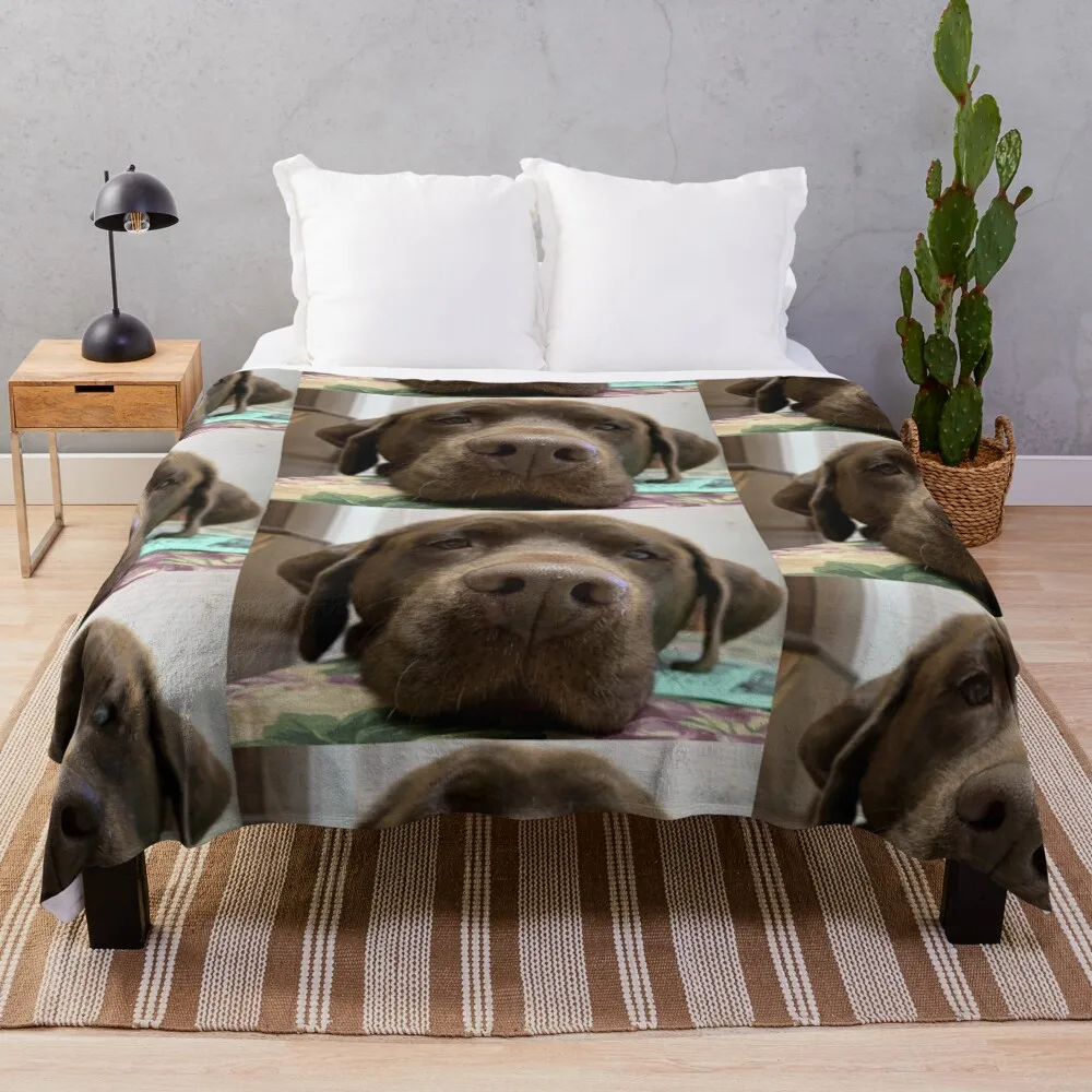 

Chocolate Lab/MixThrow Blanket Designer Blankets Soft Plush Plaid