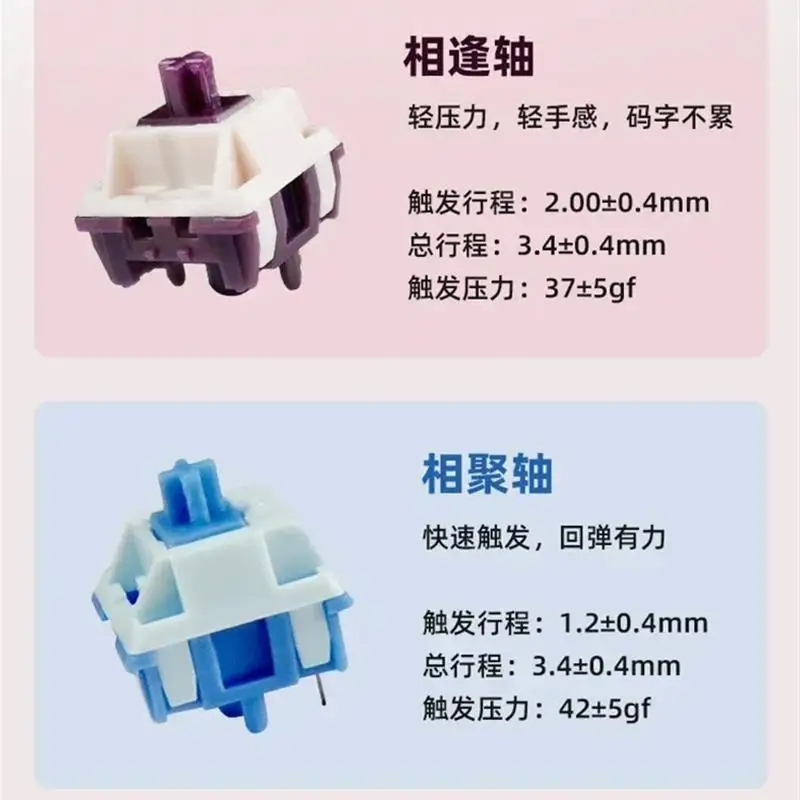 Kzzi K20 매크로 숫자 키패드 무선 키패드, 프로그래밍 미니 단추 맞춤형 노브 키보드, RGB 게이밍 기계식 핫스왑 매크로파