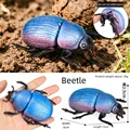 Beetle