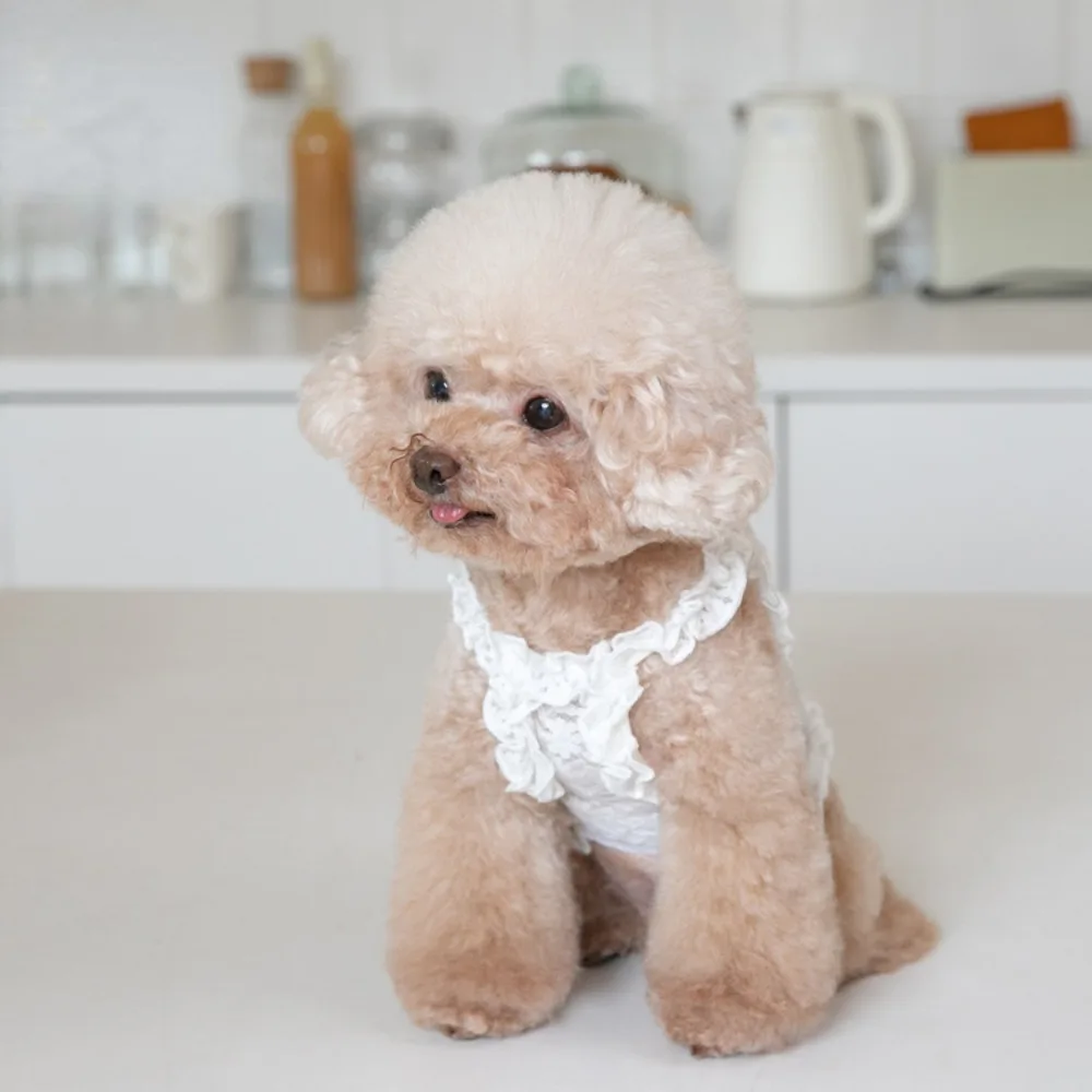 Vest Pet Clothing Cats & Dogs - PeticaDeals