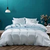 100% Silk 3pcs Bedding Set Natural Mulberry Silk Duvet Cover Set with 2pcs Pillowcase Solid Color Quilt Cover Pillow Case Luxury 1