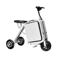 Bagages Scooters électriques petit Tricycle électrique 2 places Scooter de mobilité pliant léger voyage batterie amovible 300W 2