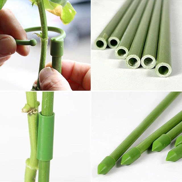 6 db Növény Támogatja A Pillangók Orchidea Pozsgás Növényeket Virágzöldség Növényi Állvány Cserepes Tartó Rudak Kerti Kellékek - Image 3