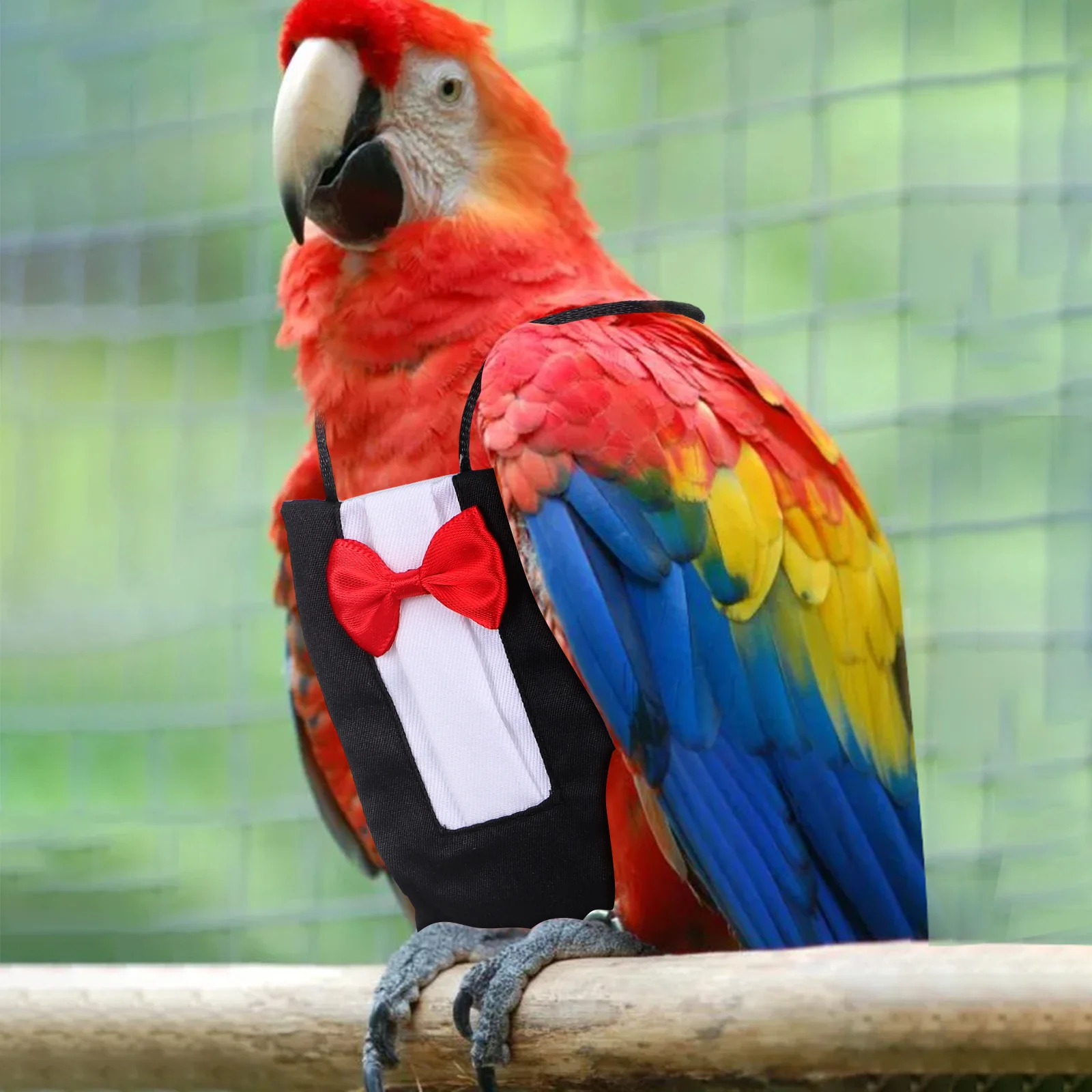 Diaper Parrot Suit 5