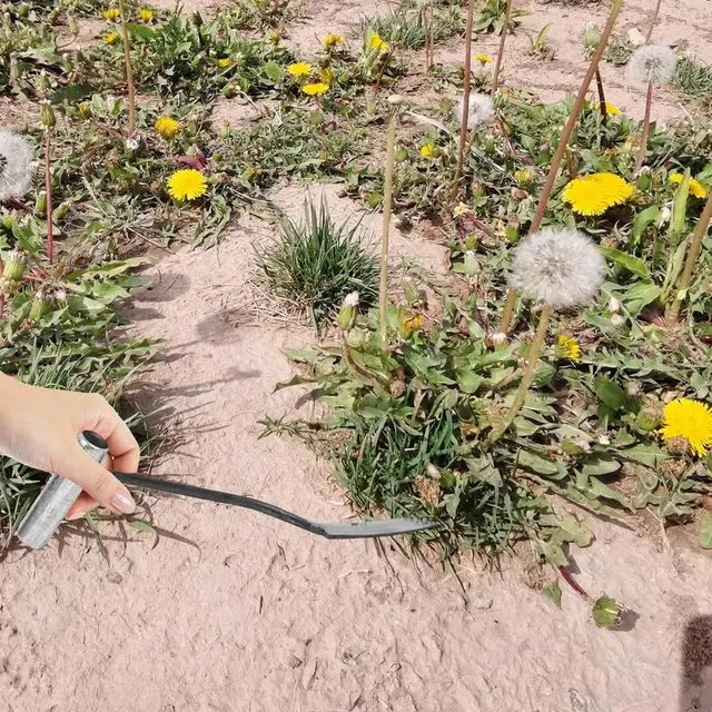 Kertészővédő Trowel Transplanter Weeder Kézi Lapát Szénacél Szerszámok Kertészeti Ergonómikus Fogantyú Átültetéshez - Image 3