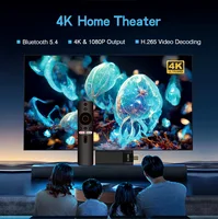 Stick TV 4K MX10 F3PRO Allwinner H313 Mali-G31 Android 13 OS TV Box Build in Wi-Fi6 2.4G+5G+BT5.4 TV Stick Consoles - Image 5
