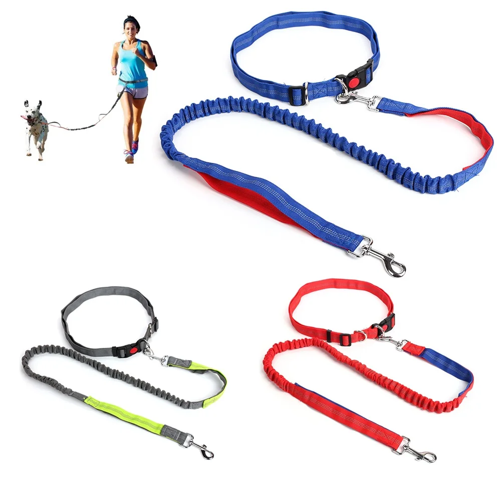 Dogs Leash Running Elasticity Hand Freely Pet Products Dogs Harness Collar Jogging Lead And