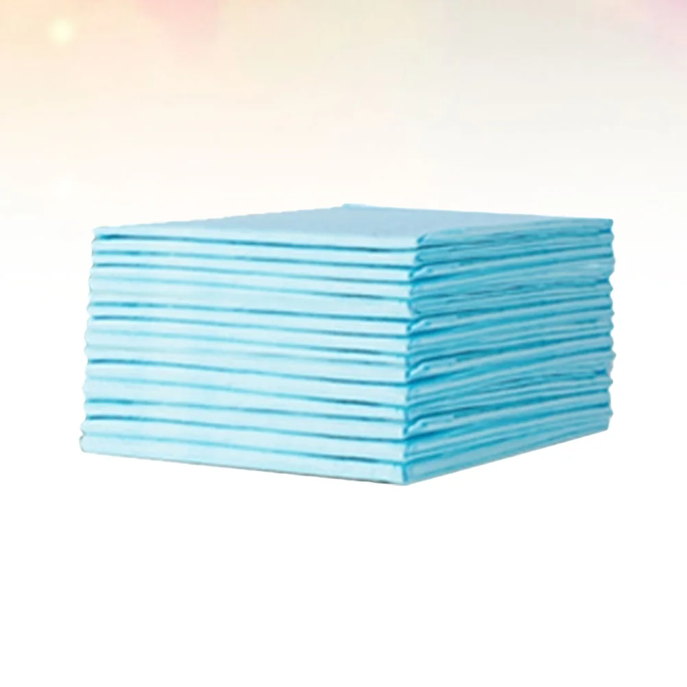  ������  ��ȸ�� ������, ��⼺ ��Ǳ� ħ�� �е�, ��� 20 ��