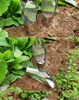 *Multifunctional bucket shovel Stainless steel household flower planting tools Screen shovel Earth digger 5