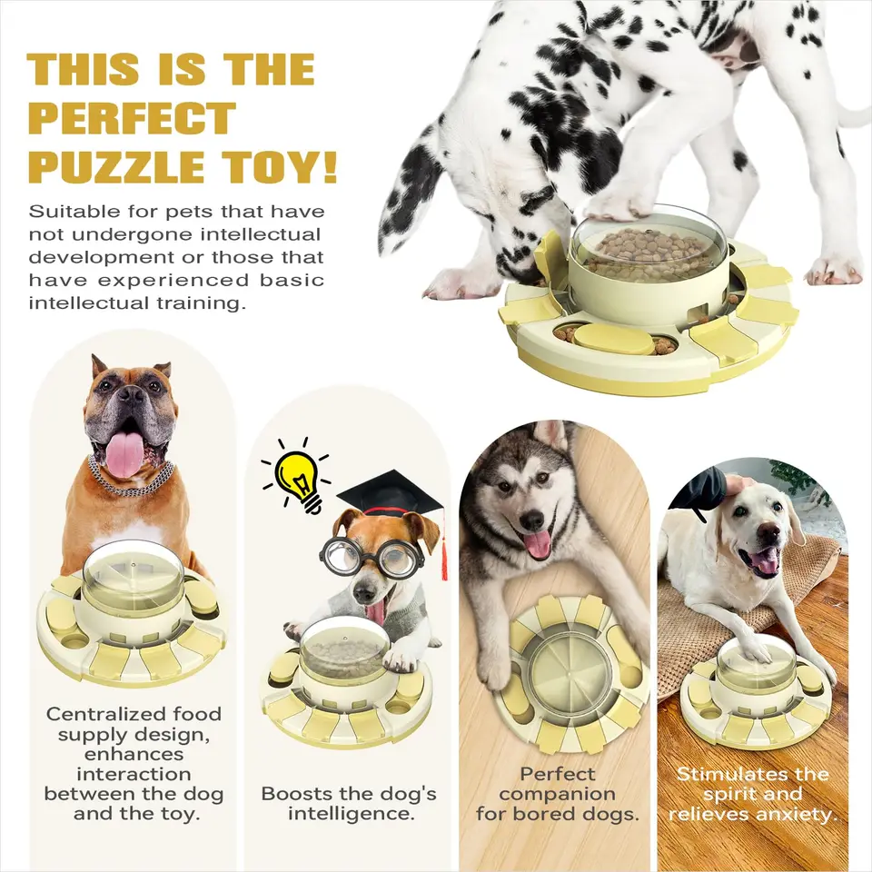 How to Teach Dog to Use Puzzle Toy: Easy Steps for Smart Play