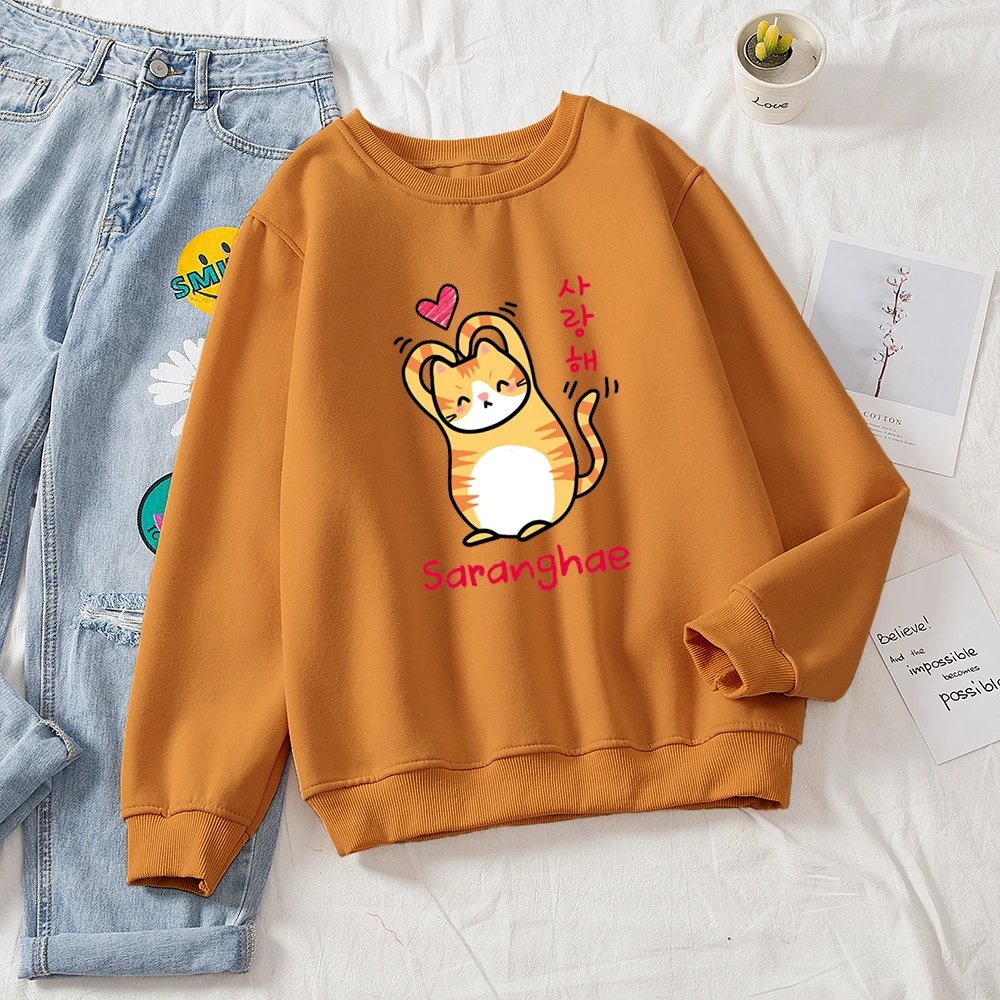 brown korean kawaii cat sweatshirt kitty sweatshirt