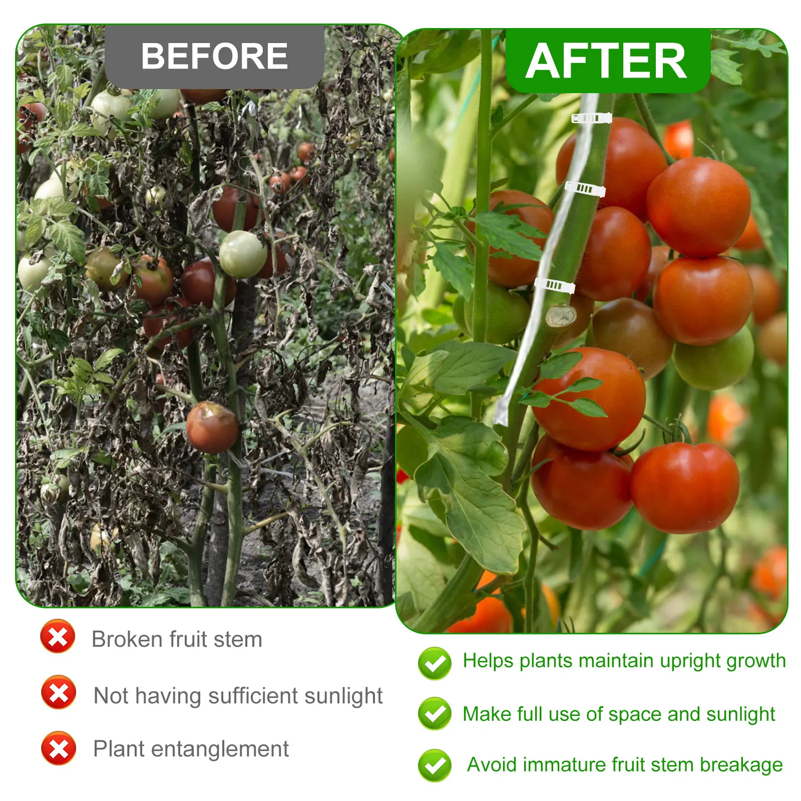 10Pcs Tomato Roller Hooks Sturdy Flower Vine Crop Trellis Kit with 15m Rope Multipurpose Twine Vine Crop Trellis Roller Hooks